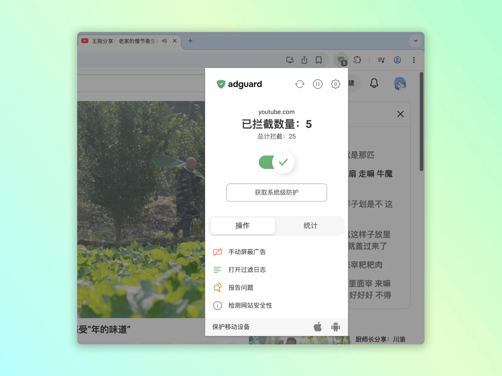 广告、跟踪与安全拦截