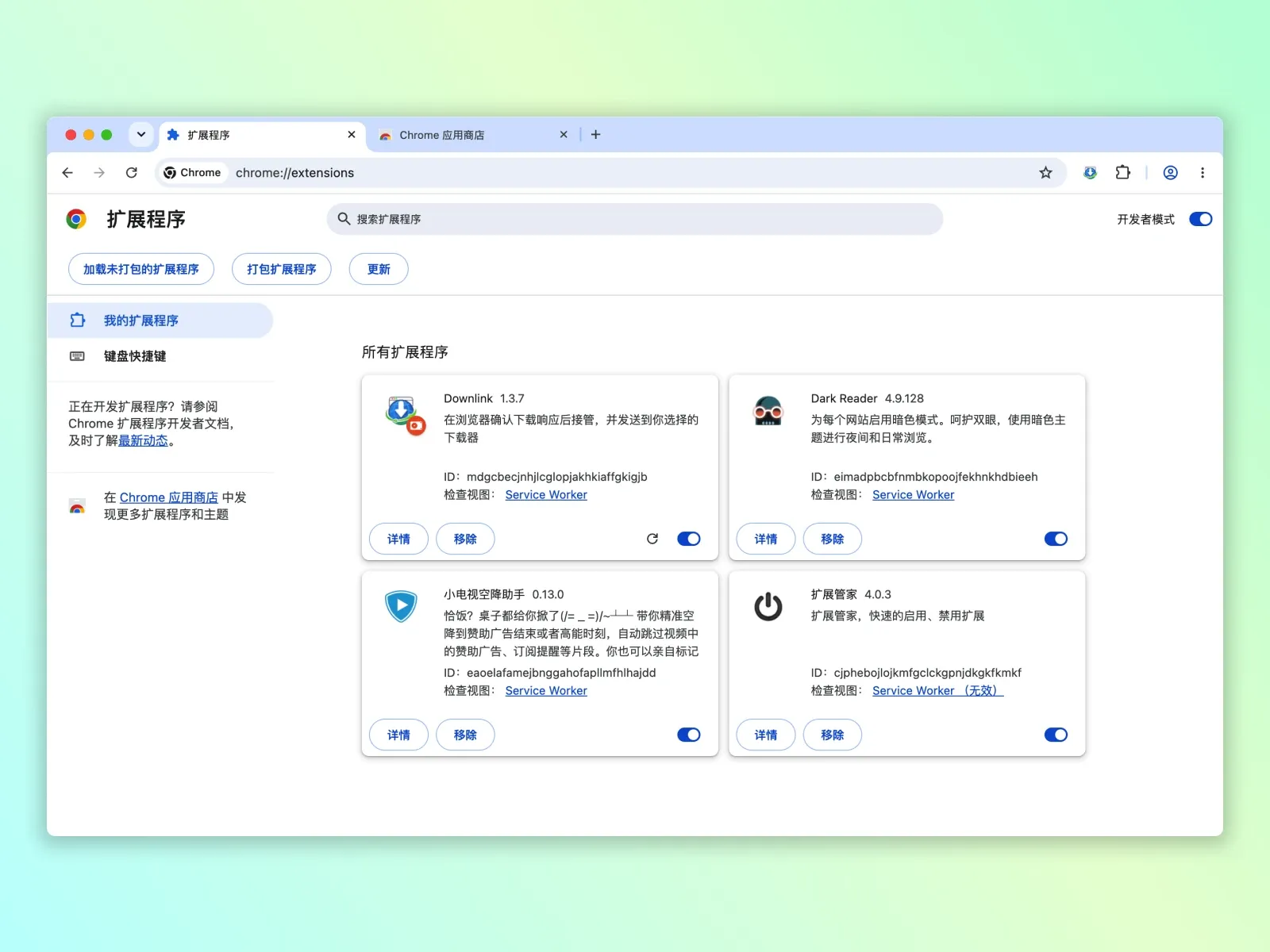 Chrome 扩展商店与插件管理界面